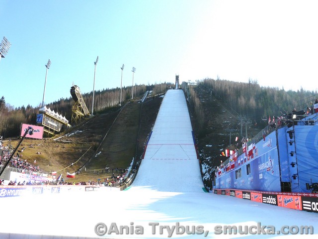 045 Skakalnica