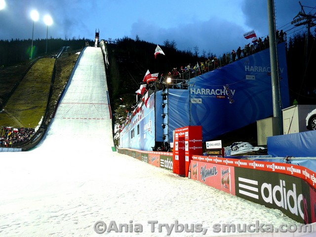 003 Skakalnica