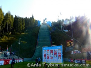 039 Skakalnica